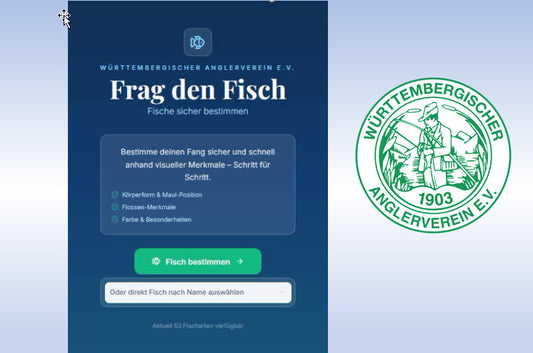 Onlinekurs mit Praxistag in Stuttgart