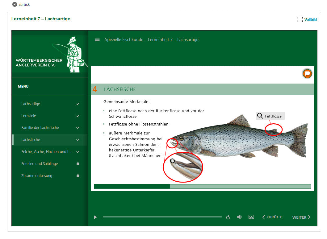 Onlinekurs Baden-Württemberg testen oder für den Präsenzkurs als Lernmaterial