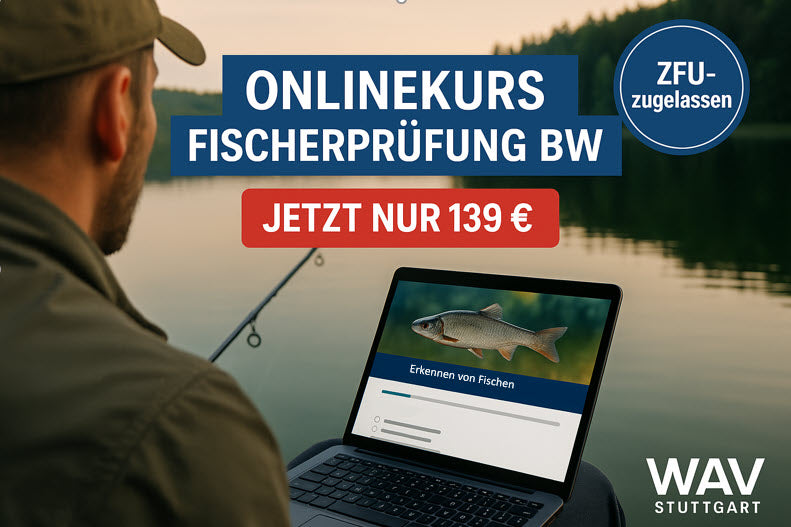 Jetzt zum Tiefpreis: nur 139 € – günstiger als vergleichbare Kurse!