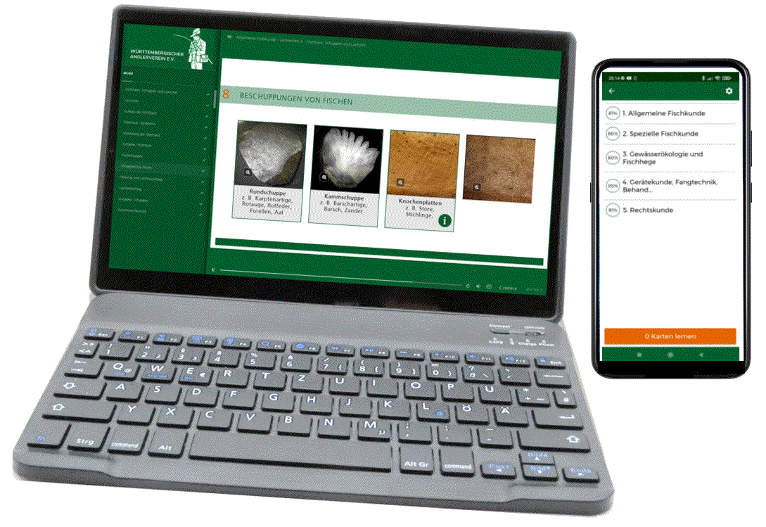 Online lernen für die Fischerprüfung in Hessen. (Demnächst verfügbar)