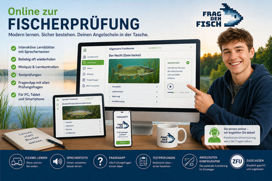 Onlinekurs mit Praxistag in Stuttgart