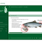 Online lernen für die Fischerprüfung.