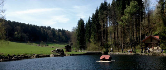 Sonderpreis für unseren Onlinekurs mit Praxistag in der Fischerhütte in Görwihl