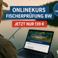Jetzt zum Tiefpreis: nur 139 € – günstiger als vergleichbare Kurse!