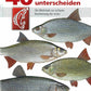 40 Fische unterscheiden