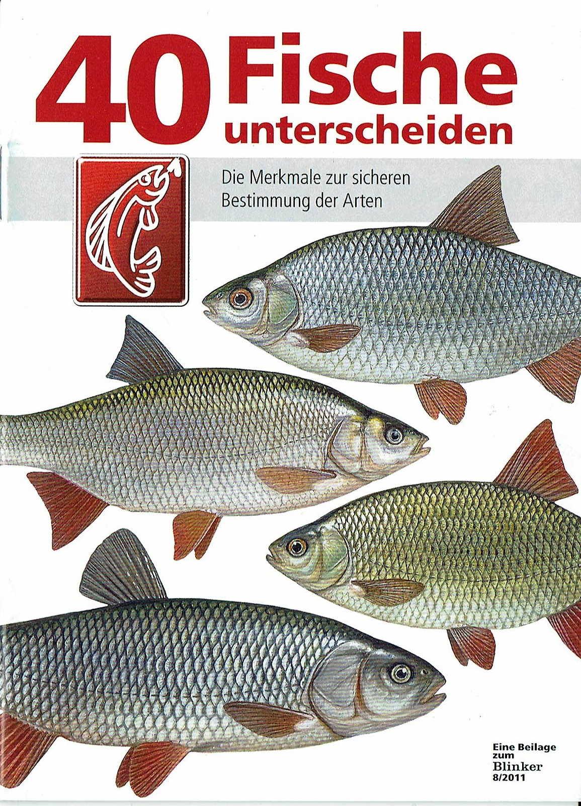 40 Fische unterscheiden