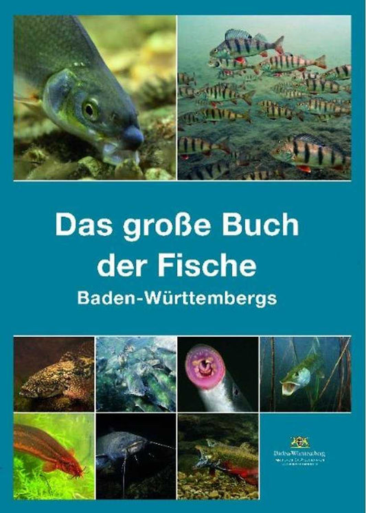 Das große Buch der Fische Baden-Württembergs